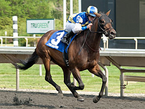 Upperline wins the 2012 Arlington Matron.