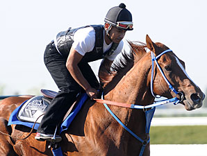Uptowncharlybrown at Keeneland, April 15, 2010.