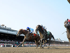 V. E. Day wins the 2014 Curlin Stakes.