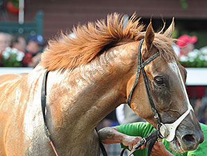 V. E. Day wins the 2014 Curlin Stakes.