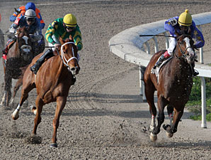 Valentine Eddie wins the 2013 South Mississippi Owners and Breeders Stakes.
