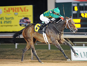 Valid Code wins the 2009 Yellow Rose.