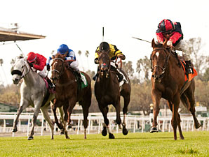 Vamo a Galupiar wins the 2012 Megahertz.