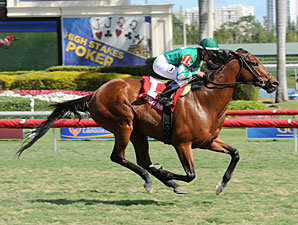 Varsity wins the 2013 Gulfstream Park Turf Sprint.