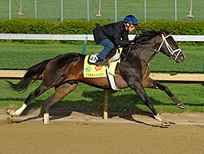 Verrazano works at Churchill Downs 4/21/2013.
