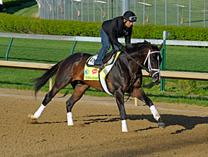 Verrazano - Churchill Downs April 26, 2013.