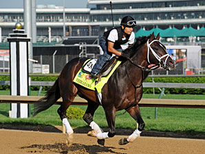 Verrazano - Churchill Downs May 1, 2013.