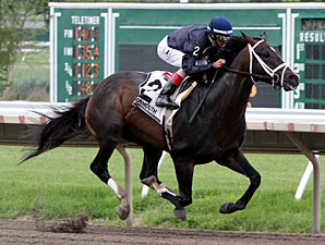 Verrazano wins the Pegasus Stakes.