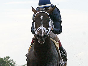 Verrazano wins the Pegasus Stakes.