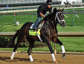 Verrazano - Churchill Downs May 2, 2013.