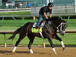 Verrazano - Churchill Downs May 2, 2013.