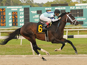 Verrazano wins the 2013 Tampa Bay Derby.
