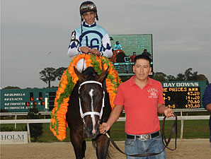 Verrazano wins the 2013 Tampa Bay Derby.