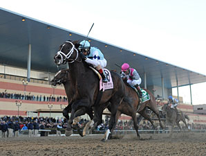 Verrazano wins the 2013 Wood Memorial.