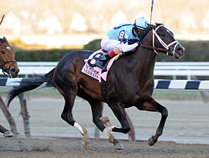 Verrazano wins the 2013 Wood Memorial.