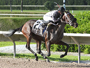 Verso a Verso wins the 2012 Florida Stallion Series - My Dear Girl Division.