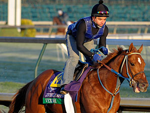 Vexor, Churchill Downs, Nov. 1, 2011.