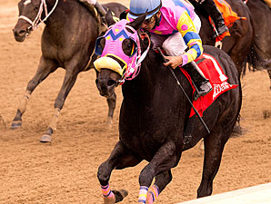 Vianney Lane wins the 2013 Maryland Million Distaff Starter Handicap.