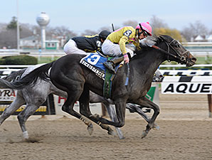 Vicki's Dancer wins the 2013 New York Stallion Series Stakes.