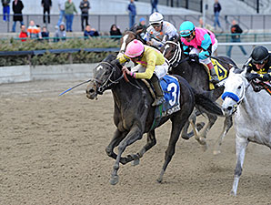 Vicki's Dancer wins the 2013 New York Stallion Series.