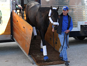 Victor's Cry arrives at Woodbine on September 14, 2010.