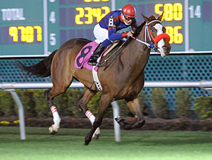 Vilao wins the 2013 San Jacinto Stakes.