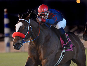 Vilao wins the 2013 San Jacinto Stakes.