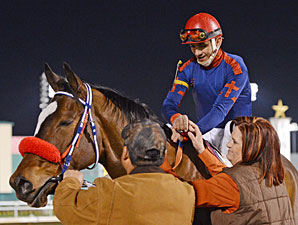 Vilao wins the 2013 San Jacinto Stakes.