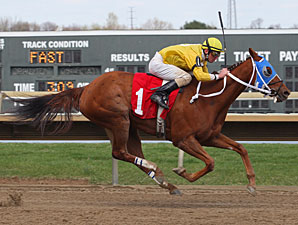 Villette wins the 2013 Foxy J. G. Stakes.
