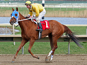 Villette wins the 2013 Foxy J. G. Stakes.