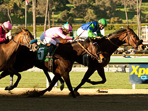 Vision in Gold wins the 2011 Santa Maria