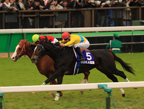 Vodka Scores Popular Victory in Japan Cup