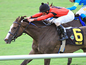 Volcat wins the 2012 Virginia Oaks.
