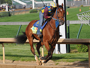 Vyjack - Churchill Downs, May 2, 2013.