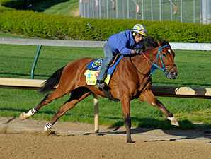 Vyjack - Churchill Downs, April 26, 2013.