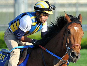 Vyjack - Churchill Downs, May 2, 2013.