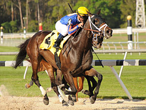 Wait Til Dawn wins the 2012 Suncoast Stakes.