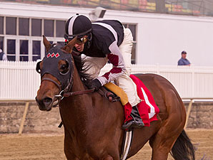 Walkwithapurpose wins the 2012 Maryland Juvenile Filly Championship.
