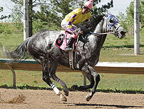 Wally Van wins the Arapahoe Park Sprint.