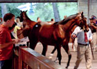 Keeneland September Yearling Sale: Walt Robertson