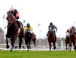 Wanna Cuddle wins the 2009 Sarah Lane's Oates.