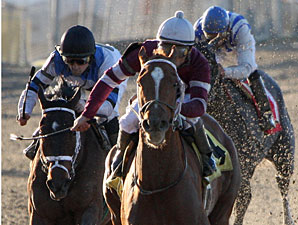 War Echo wins the 2009 DRF Distaff.