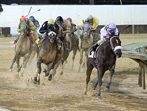 Wardelle wins the 2013 Pink Ribbon Stakes.
