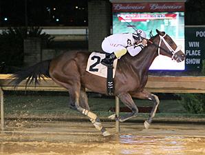 Wardelle wins the 2013 Pink Ribbon Stakes.