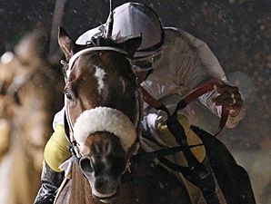 Wardelle wins the 2013 Pink Ribbon Stakes.