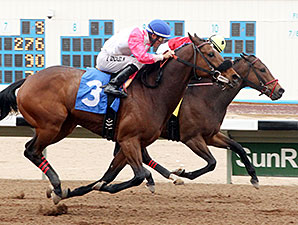 Warren's Knockout wins the 2014 Inaugural Handicap.