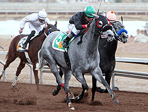 Warrens Venedalucy wins the 2013 Bold Ego Handicap.