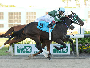 Watch Me Go wins the 2011 Tampa Bay Derby.
