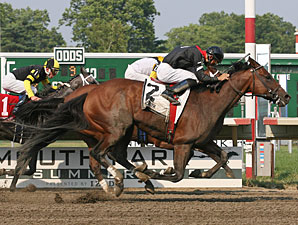 Way With Words wins the 2010 Blue Sparkler Stakes.