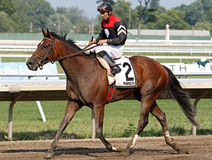 Way With Words wins the 2010 Blue Sparkler Stakes.